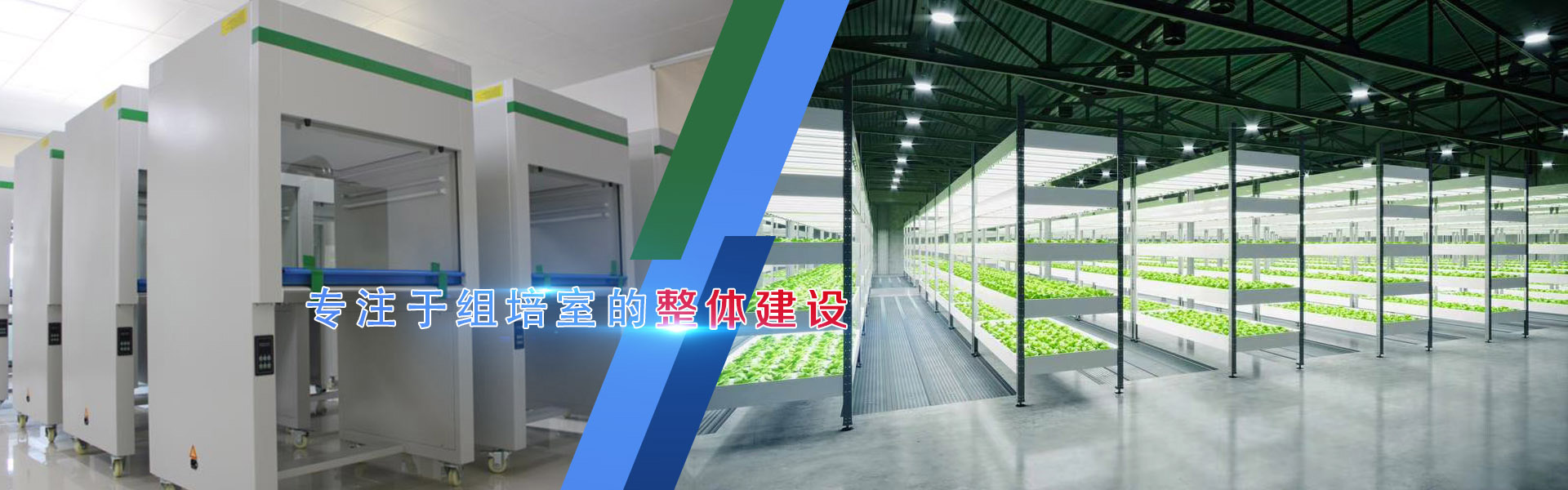 組培、組培架