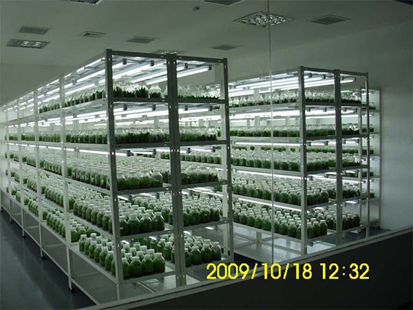 組培室設(shè)計