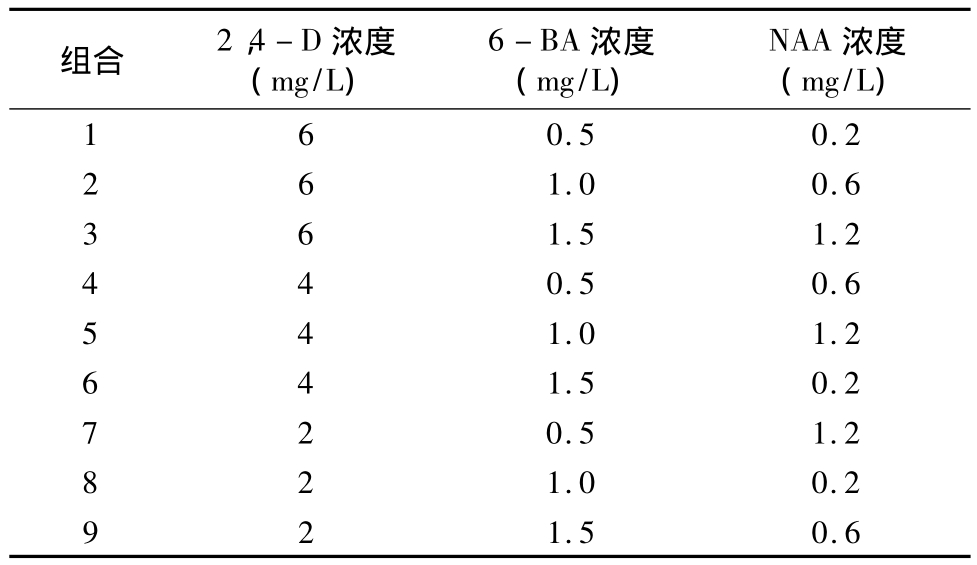 柳枝稷種子組培快繁技術(shù)