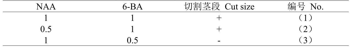 組培室設(shè)計(jì)