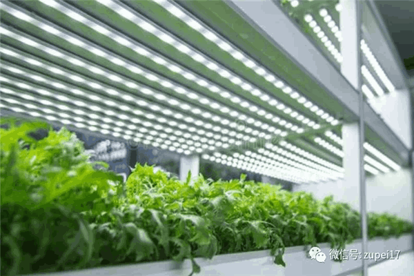 培養(yǎng)架原來(lái)還有這樣的特點(diǎn)!