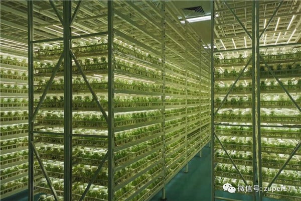 組培儀器設備&mdash;&mdash;臥式矩形滅菌器