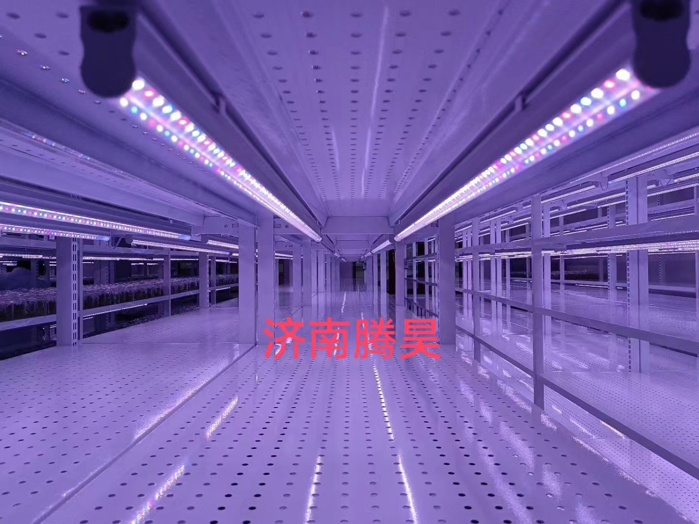 組培架，培養(yǎng)架，光照培養(yǎng)架，組培室設計，組培室無菌凈化